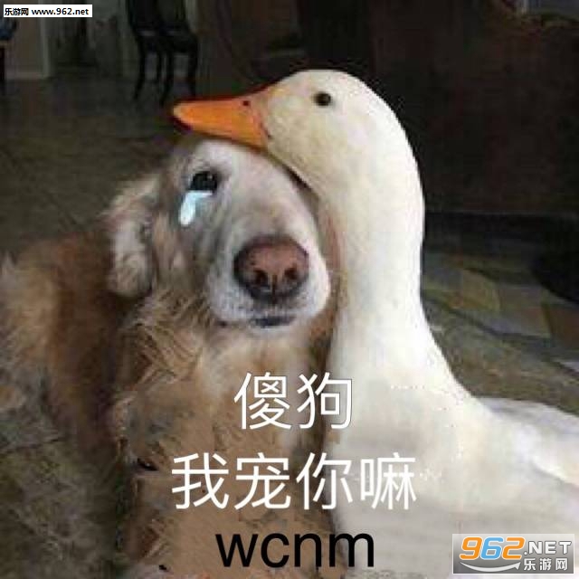 ����ûһ���ö������������