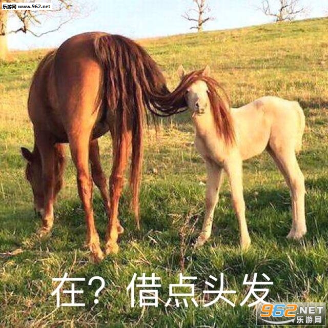 �ؼҰɻص���������ü��������