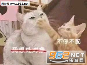 要不要栽在我手里表情包 要不要栽在我手里表情包