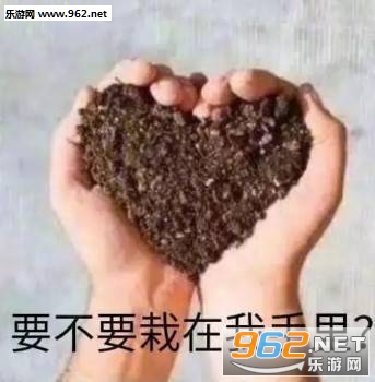 要不要栽在我手里表情包 要不要栽在我手里表情包