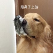 ��Į��������ϼ�
