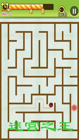 �Թ�֮����׿��(Maze King)