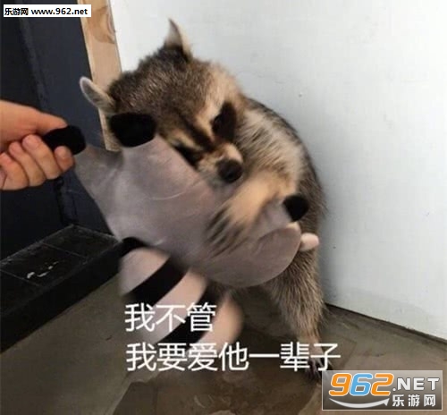多喝热水少做梦表情包图片 多喝热水少做梦表情包图片
