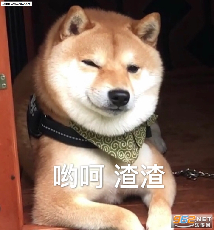 ��ǧ����ֻ��춼��������ͼƬ