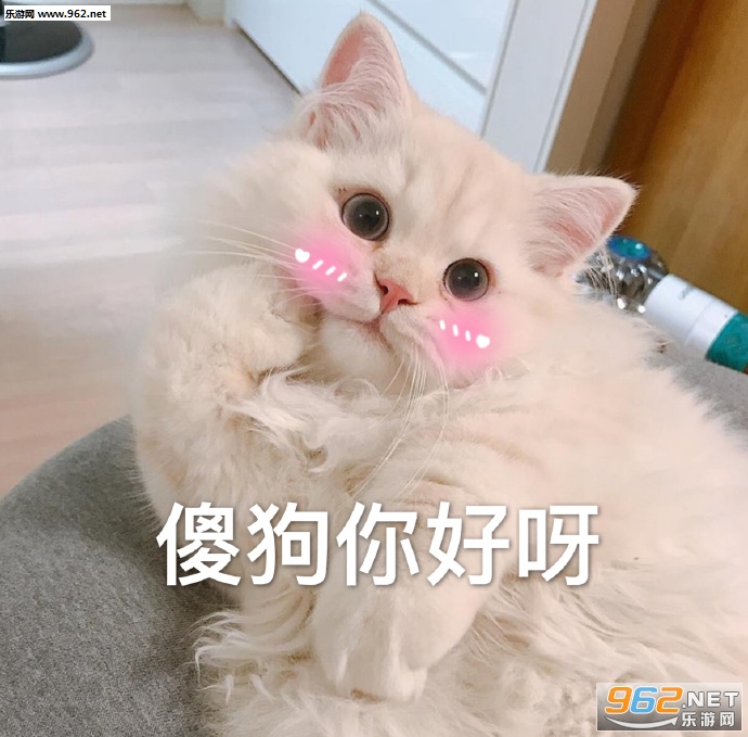 ��ǧ����ֻ��춼��������ͼƬ