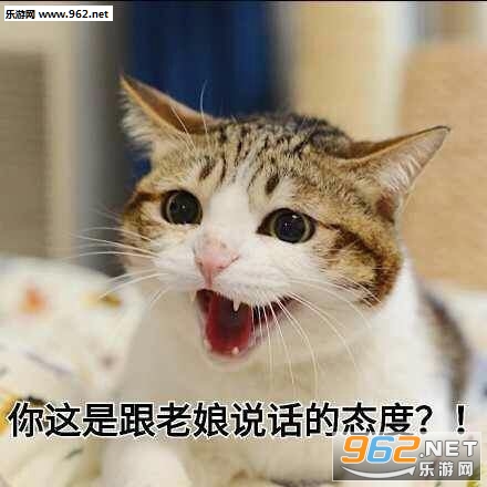�������ֵ�Ͳ������ĳ�����