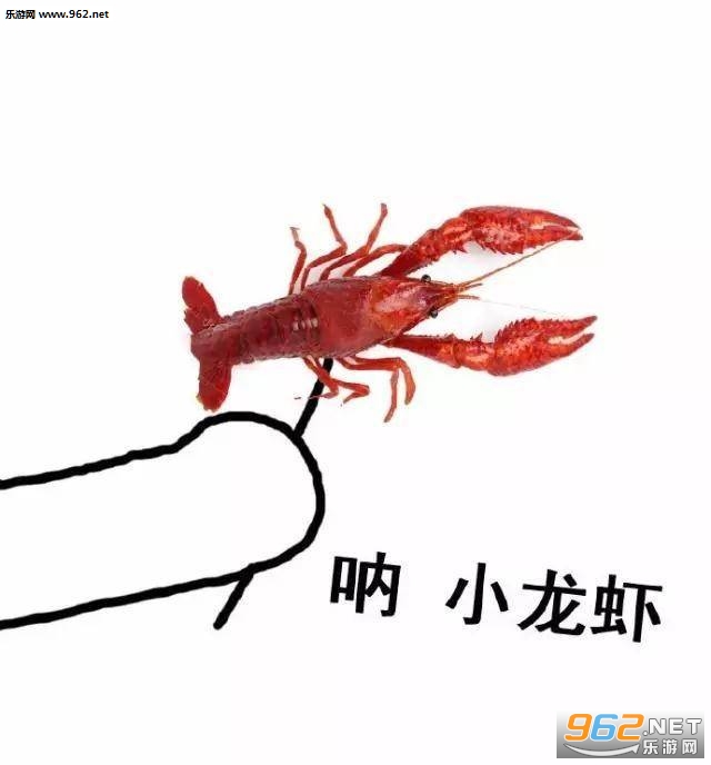�Ż���һ��Ǯ�����