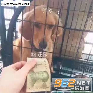 �Ż���һ��Ǯ�����