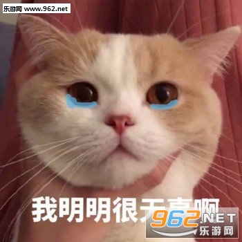 �Ҹ�ͨ����ֹ���ڱ����ͼƬ