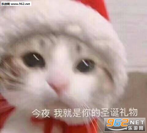 今夜我就是你的圣诞礼物图片 今夜我就是你的圣诞礼物图片