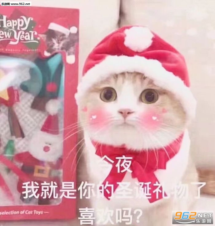 今夜我就是你的圣诞礼物图片 今夜我就是你的圣诞礼物图片