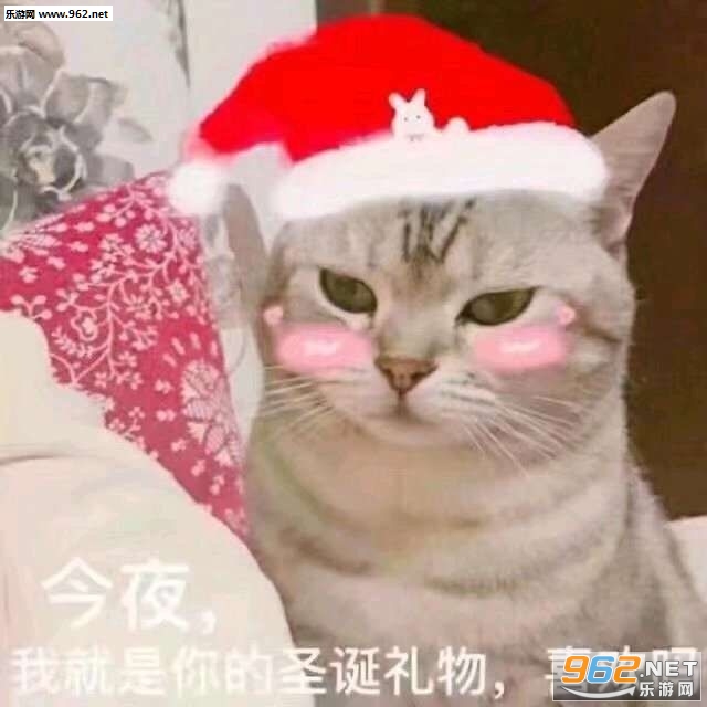 今夜我就是你的圣诞礼物图片 今夜我就是你的圣诞礼物图片