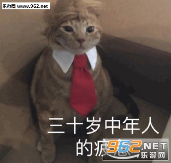 ϴϴ�۾������
