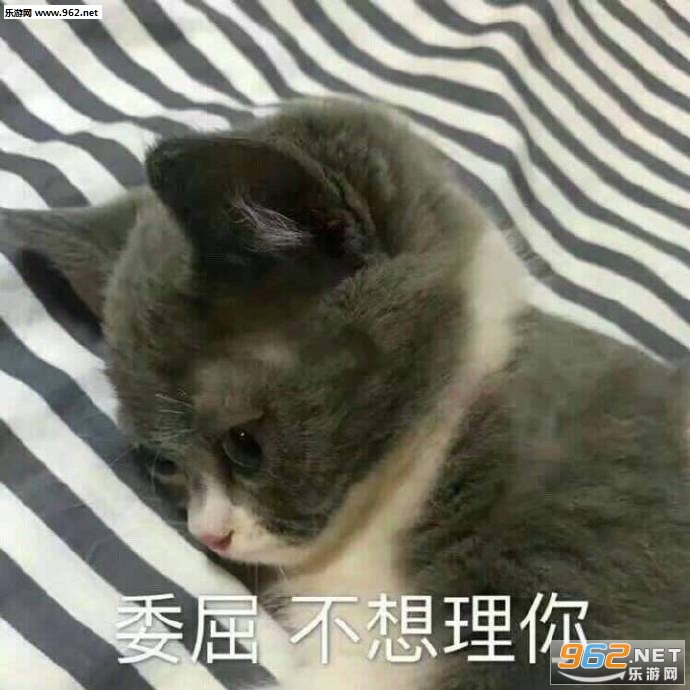 ϴϴ�۾������