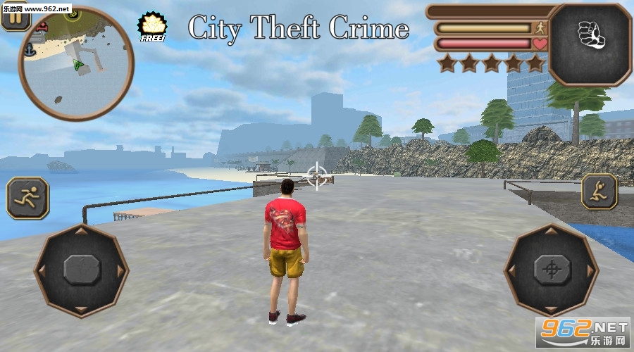 City Theft Crime