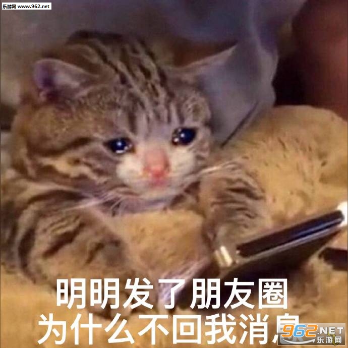 我都害羞了萌娃表情包