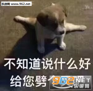 冷死你个傻比表情包 冷死你个傻比表情包