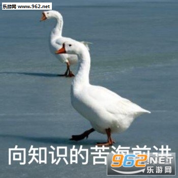 �Ҳ����Ļ������ı����