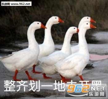 �Ҳ����Ļ������ı����