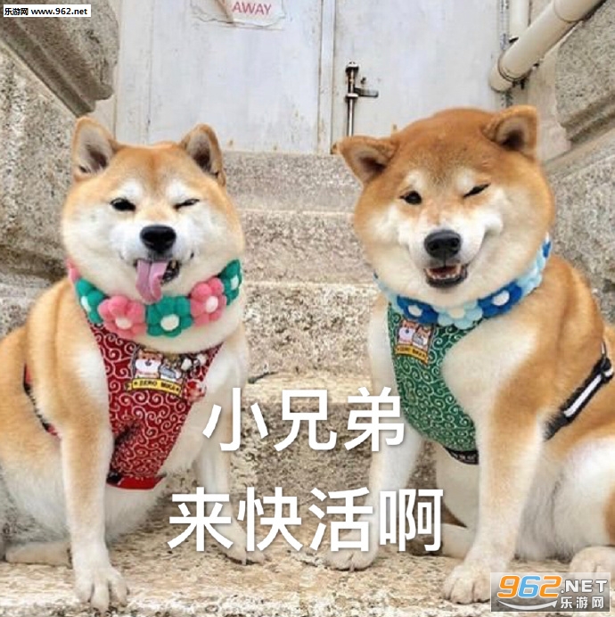 �Ҳ����Ļ������ı����