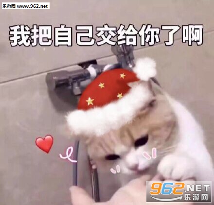 我能和你过圣诞节吗表情包