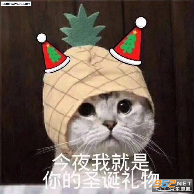 我能和你过圣诞节吗表情包
