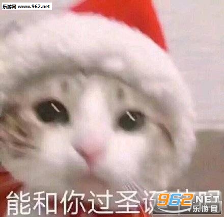 我能和你过圣诞节吗表情包