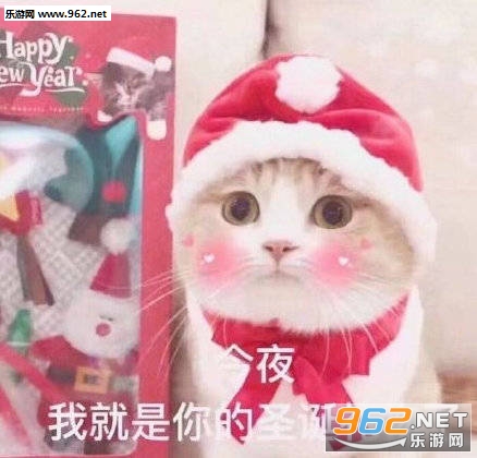 我能和你过圣诞节吗表情包