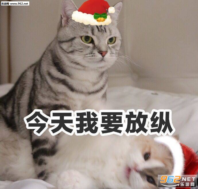 我能和你过圣诞节吗表情包
