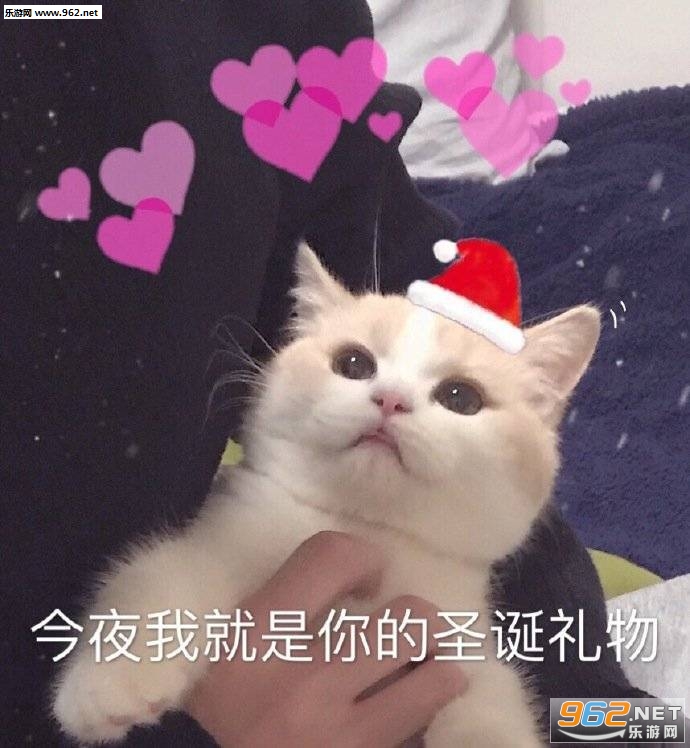 我能和你过圣诞节吗表情包
