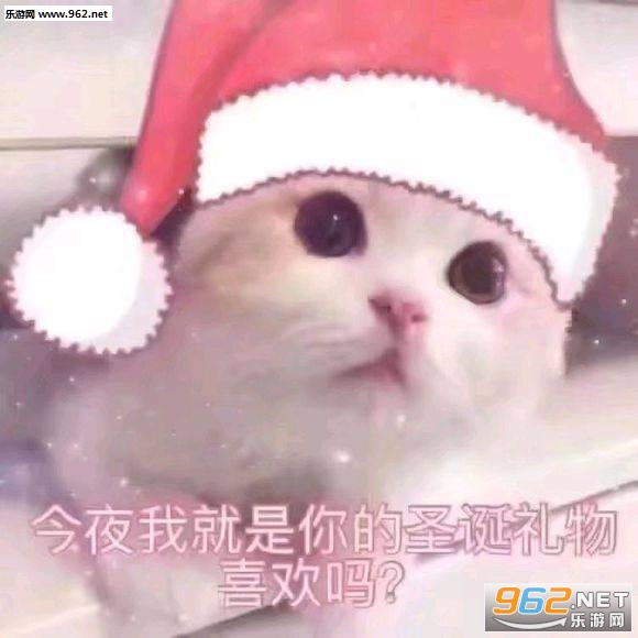 我能和你过圣诞节吗表情包