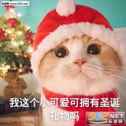 �нӴ�ʥ��ñҵ����5���̵���ѱ����