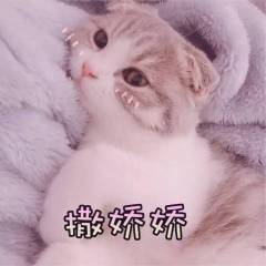 ����˧���ñ����