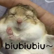 �Ƿ�ֻ��һ������Ϳ�����һ������ͼƬ