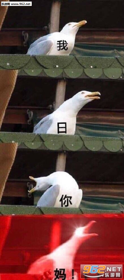 ��������������������