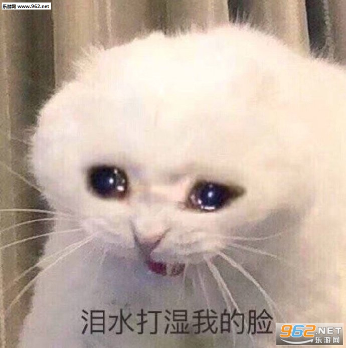 今年一定要发财民咕咕表情包