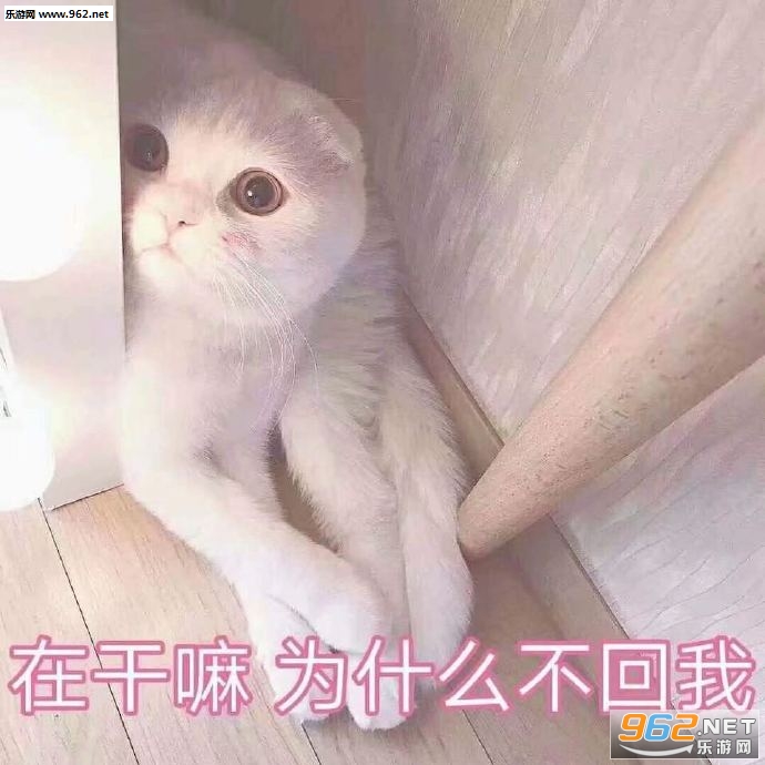 ���鲻�ô��˱����ͼƬ