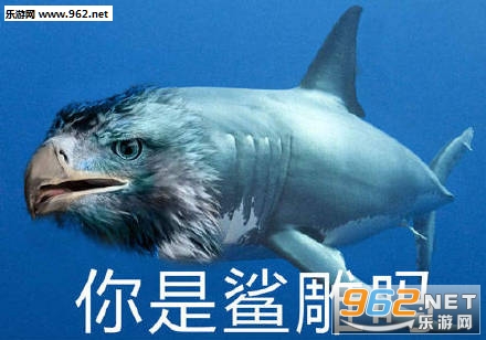 ���㷢��������ͼƬ