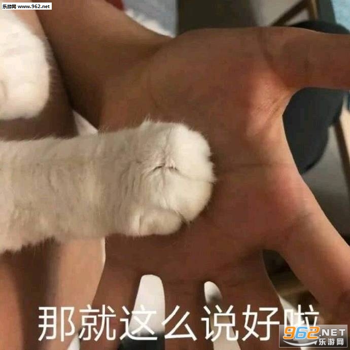 �������м�����������������
