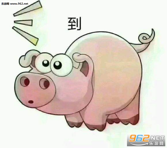 套路猪表情包截图0