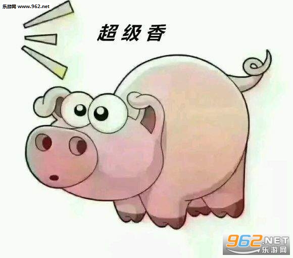 套路猪表情包