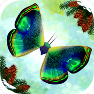 ����Flutter�ٷ���