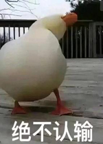 ������������ԭͼ