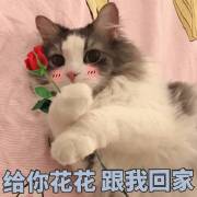 ������������ԭͼ��ͼ2
