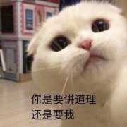 ����Ҫ����������Ҫ�ұ������ͼ1