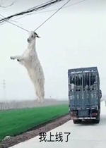����ûһ���ö������������