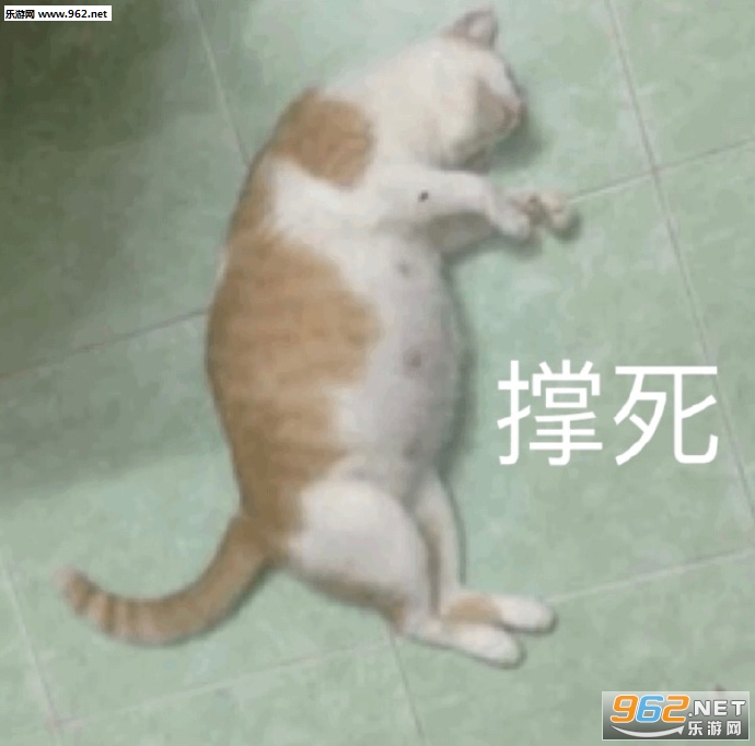 ��֪����Ҫ˵ʲô�����ͱ����ͼƬ��ͼ9