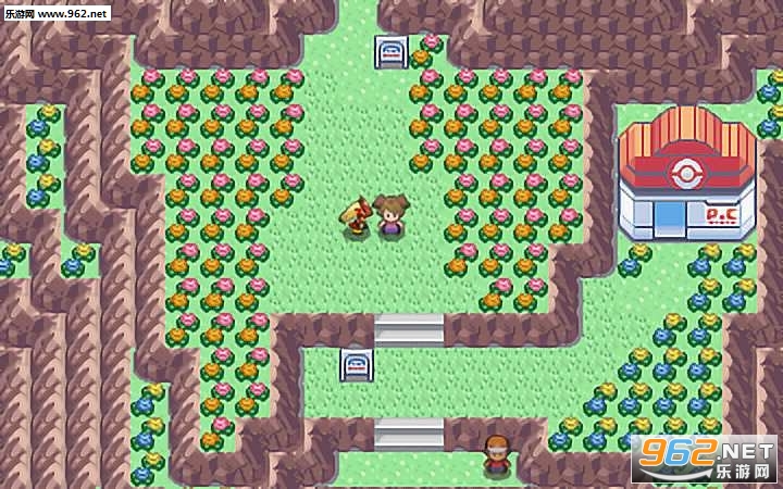 pokemmo��׿���ͼ3