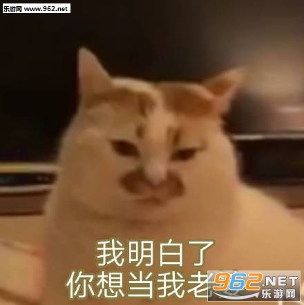 �����������뵱�����ű����ͼƬ��ͼ8