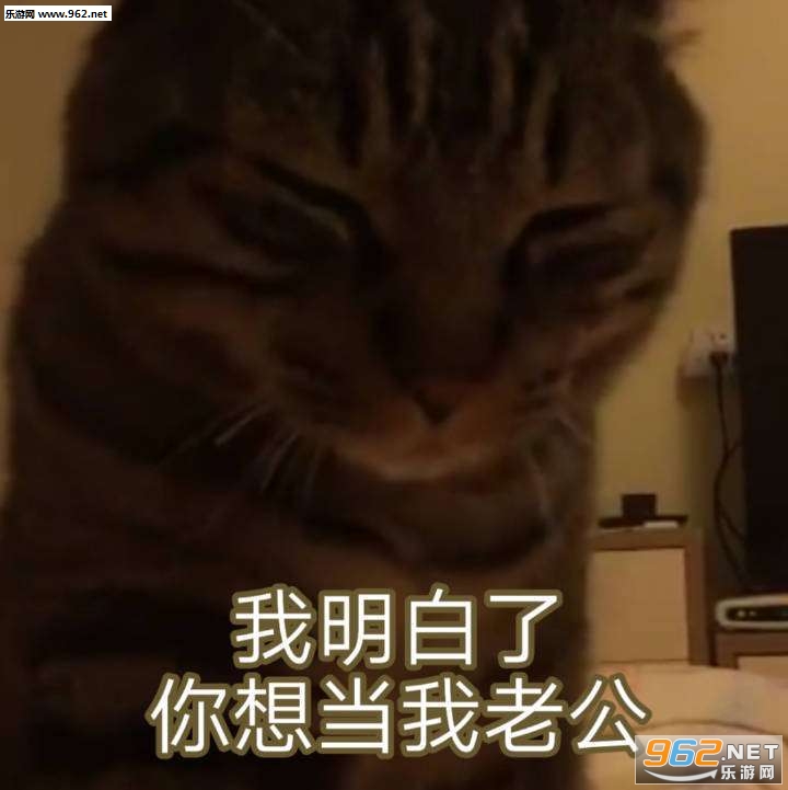 �����������뵱�����ű����ͼƬ��ͼ9
